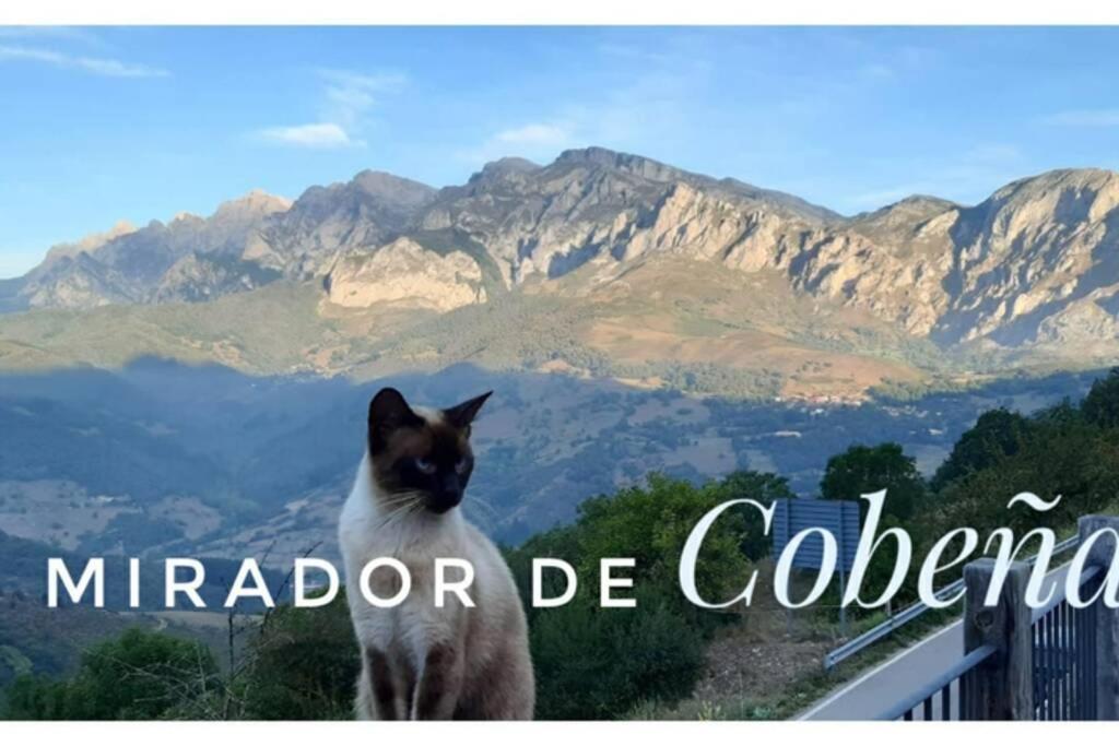 El Mirador De Cobena Ii. Aires De Liebana En Picos Apartment Bagian luar foto